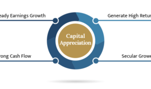 Capital appreciation strategy investments equity reasonable growth price