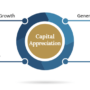 Capital appreciation strategy investments equity reasonable growth price