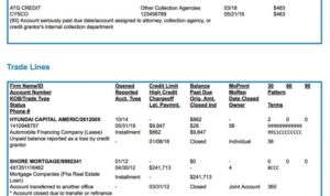 Credit repair report letters transunion experian equifax bureau score example does template letter check work show dispute business not guide