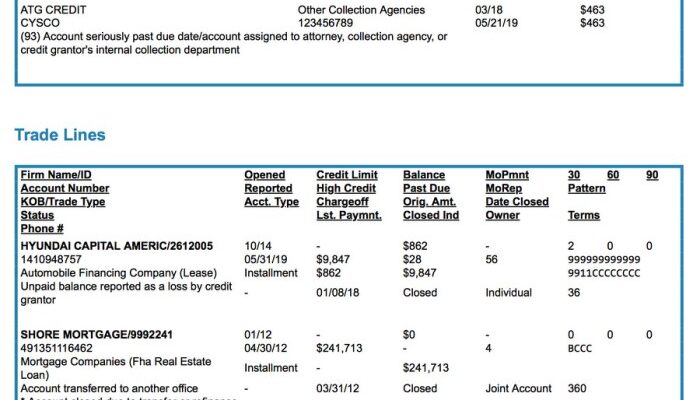 Credit repair report letters transunion experian equifax bureau score example does template letter check work show dispute business not guide