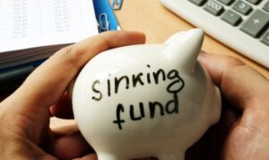 Sinking funds for big expenses